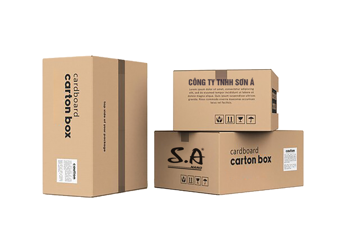 GIỚI THIỆU VỂ THÙNG CARTON